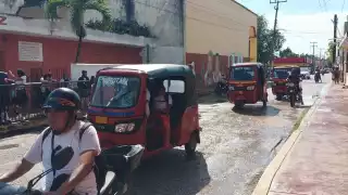 Durante el periodo vacacional sus ganancias se redujeron drásticamente; usuarios se quejan de las tarifas  

