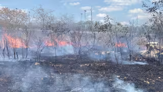 Incendio de maleza moviliza a bomberos y alarma a vecinos de Siglo XXI