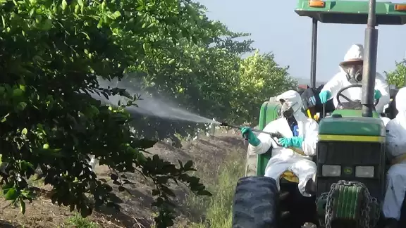 buscarán entrar en diálogo con los tres niveles de gobierno para conseguir que las guías de exportación salgan de Quintana Roo buscarán entrar en diálogo con los tres niveles de gobierno para conseguir que las guías de exportación salgan de Quintana Roo