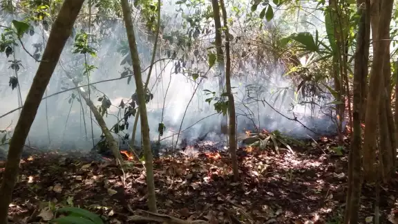 Hasta el momento se desconocen las hectáreas afectadas en Campeche Hasta el momento se desconocen las hectáreas afectadas en Campeche