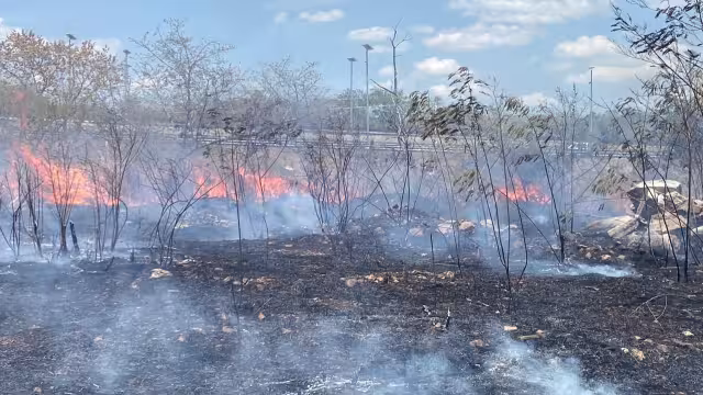 Incendio avanza entre maleza seca y moviliza cuerpos de emergencia