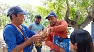 Rescatan a “Bizcocho”, un gatito que cayó dentro de un pozo en Dzununcán
