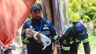 Rescatan 36 mascotas tras inundaciones en Mérida por intensas lluvias