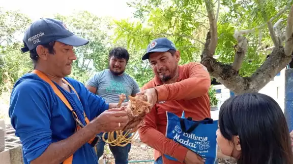 Bizcocho fue entregado sano y salvo a su dueña Bizcocho fue entregado sano y salvo a su dueña