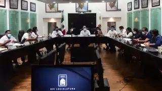 El proyecto de dictamen fue aprobado por el diputado José de la Peña Ruíz de Chávez