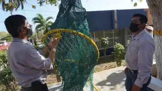 Los camaroneros buscan recuperar la certificación de EU