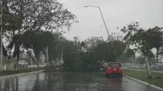 Campeche espera un día nublado y caluroso con fuertes lluvias 
