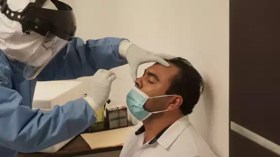 Los especialistas vinculan al hongo negro con la diabetes y deficiencias en el sistema inmunológico Los especialistas vinculan al hongo negro con la diabetes y deficiencias en el sistema inmunológico