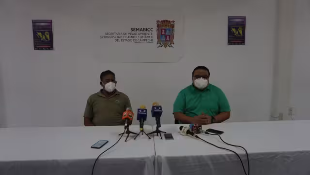 Hay 14 campamentos tortugueros que protegen los nidos