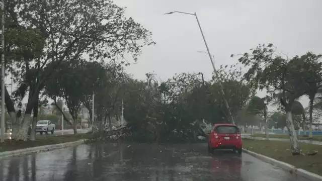 Campeche espera un día nublado y caluroso con fuertes lluvias 
