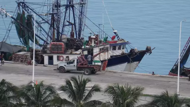 En su mayoría son barcos camaroneros en desuso