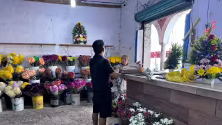 Precio de las flores en mercados del Centro de Mérida repuntaría hasta un 50% en febrero