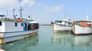 “Huateo” afecta a empresarios pesqueros de Yucatán; denuncian presunta venta de producto en altamar