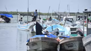 Arrecife Alacranes bajo amenaza: acusan captura de langosta en temporada de veda