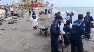 Derrames de petróleo pueden dañar ecosistemas por más de 4 años en Campeche