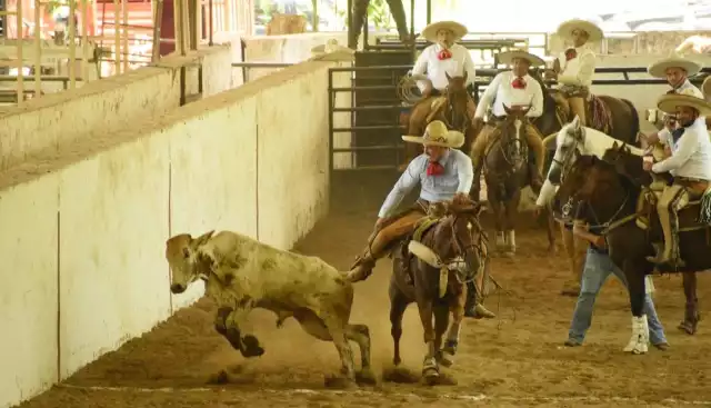 Orgullo yucateco: charros de San Isidro ganan en Los Altos