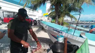 Pesca en Puerto Juárez enfrenta sus momentos más críticos por la baja producción, inseguridad y mal clima