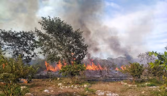 La quema de basura, así como el 'efecto lupa' son las principales causas de incendios en Campeche