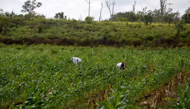 Foto:  Luis Enrique Tuz