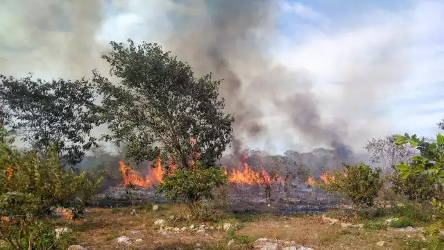 La quema de basura, así como el 'efecto lupa' son las principales causas de incendios en Campeche
