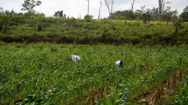 Foto:  Luis Enrique Tuz