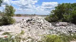 Denuncian nuevas quemas y tala de manglar en Chicxulub Puerto
