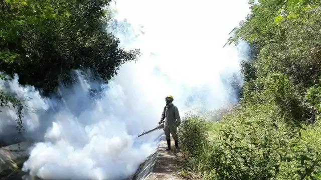 Se reforzarán las acciones para disminuir la reproducción y proliferación del mosco Aedes aegypti