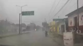 Protección civil dio a conocer que ya tiene reporte de caída de ramas y árboles por Dziuche y Saban