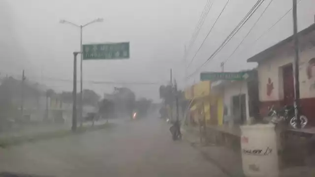 Protección civil dio a conocer que ya tiene reporte de caída de ramas y árboles por Dziuche y Saban