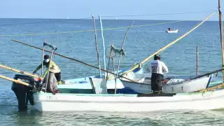 Pescadores de Yucatán prevén retos en 2025 por el furtivismo, piratería y robos