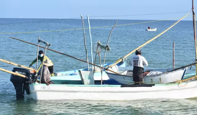 Representantes industriales, cooperativas y pescadores señalan que el 2025 será sumamente difícil