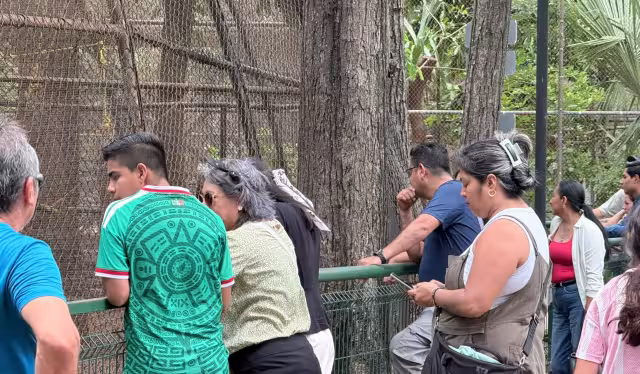 Capturan a tres perros tras mortal ataque en el Zoológico Centenario