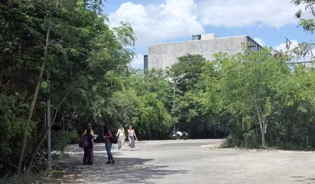 Más de 6 mil 600 espacios en Airbnb posicionan a Mérida entre las ciudades más ofertadas de México