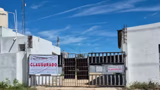 Profepa y Desarrollo Sustentable intensifican  inspecciones a granjas porcícolas en Yucatán por anomalías en el manejo de desechos