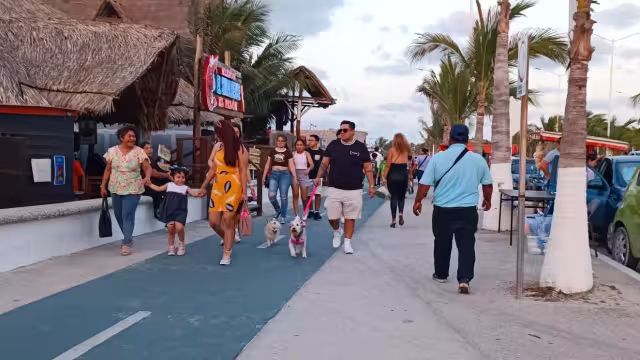 Los asistentes por concierto fueron, mínimo, de 25 mil personas, afirma el organismo