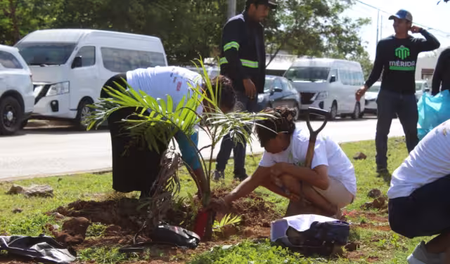 Cecilia Patrón impulsa estrategia ambiental en Mérida
