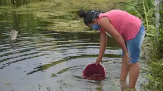 FOTO: Gabriel E. Manzanilla