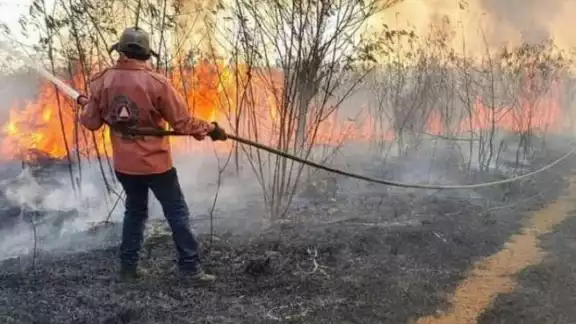 Piden a la población evitar tirar colillas y basura en las carreteras Piden a la población evitar tirar colillas y basura en las carreteras