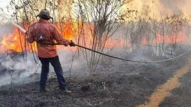 Piden a la población evitar tirar colillas y basura en las carreteras