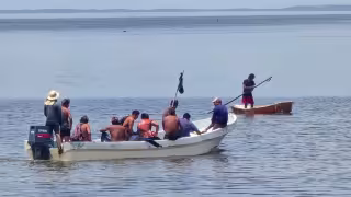 Pescadores denuncian competencia desleal en captura de pulpo en Campeche y Yucatán