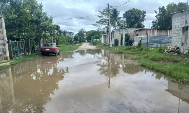 Vecinos sorprendidos por reptil en tendido eléctrico