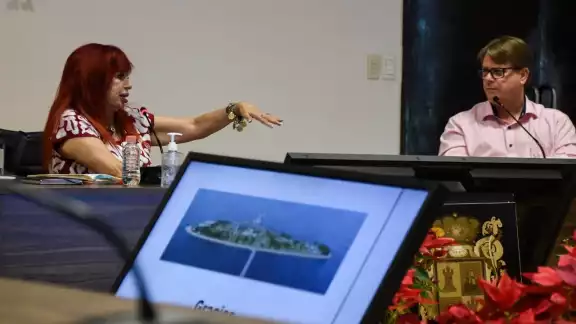El proyecto es construir una isla artificial El proyecto es construir una isla artificial