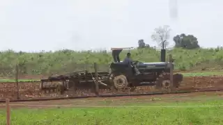 Los menonitas se niegan a firmar un acuerdo para no sembrar soya o maíz transgénico, que dejen de usar el glifosato y también parar la deforestación