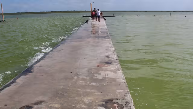 Mientras el agua no circule, en el fondo de la laguna seguirá habiendo el lodo que le da el color verde