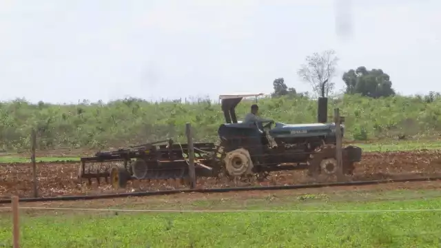 Los menonitas se niegan a firmar un acuerdo para no sembrar soya o maíz transgénico, que dejen de usar el glifosato y también parar la deforestación