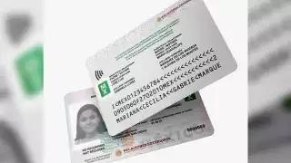 Relaciones Exteriores indicó que por ahora la Matrícula Consular de Tercera Generación sólo se extenderá en tres Consulados de México en el extranjero