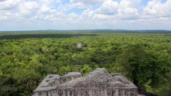 La Reserva de la Biosfera de Calakmul será aplicado con nuevas hectáreas La Reserva de la Biosfera de Calakmul será aplicado con nuevas hectáreas