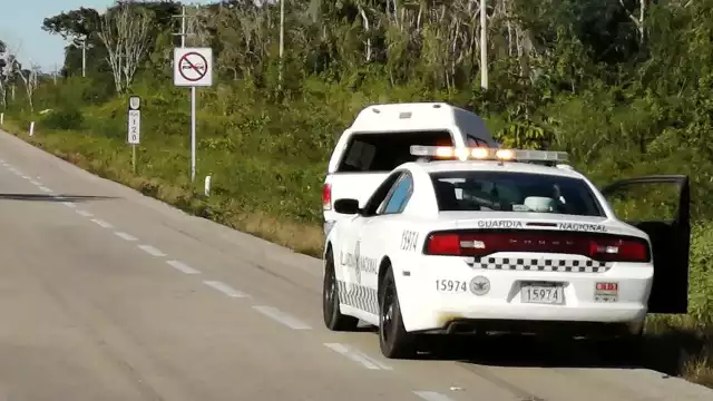 Los hechos se registraron durante la tarde de este viernes, a la altura del kilometro 120 + 00 de la carretera federal 307