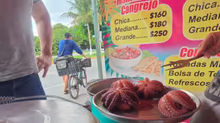 ¡Por las nubes! ¿Cuánto cuesta el kilo de pulpo en Campeche hoy?