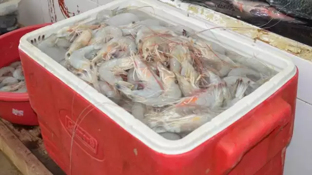 Foto: Fernando Kantú